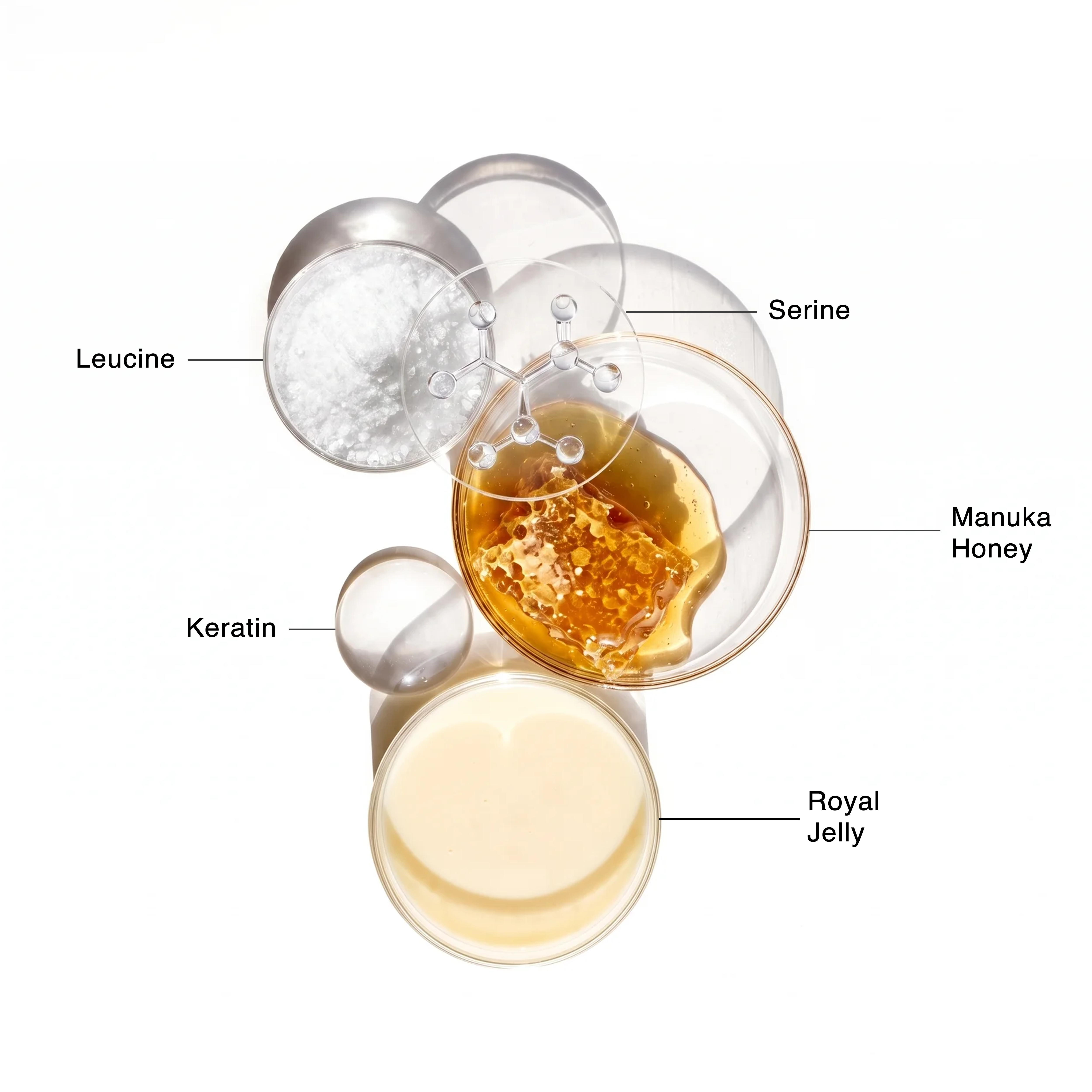Sechi Honey Growth Conditioner