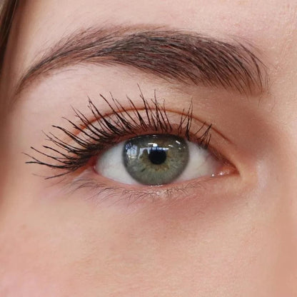 [Premium Quality Makeup &amp; Skincare For Women Online]-Klara Cosmetics