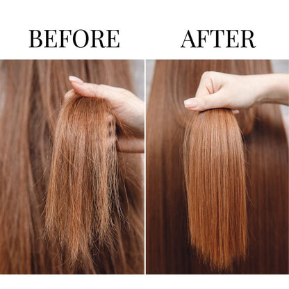 Sechi Honey Color Lock Deep Nourish Set