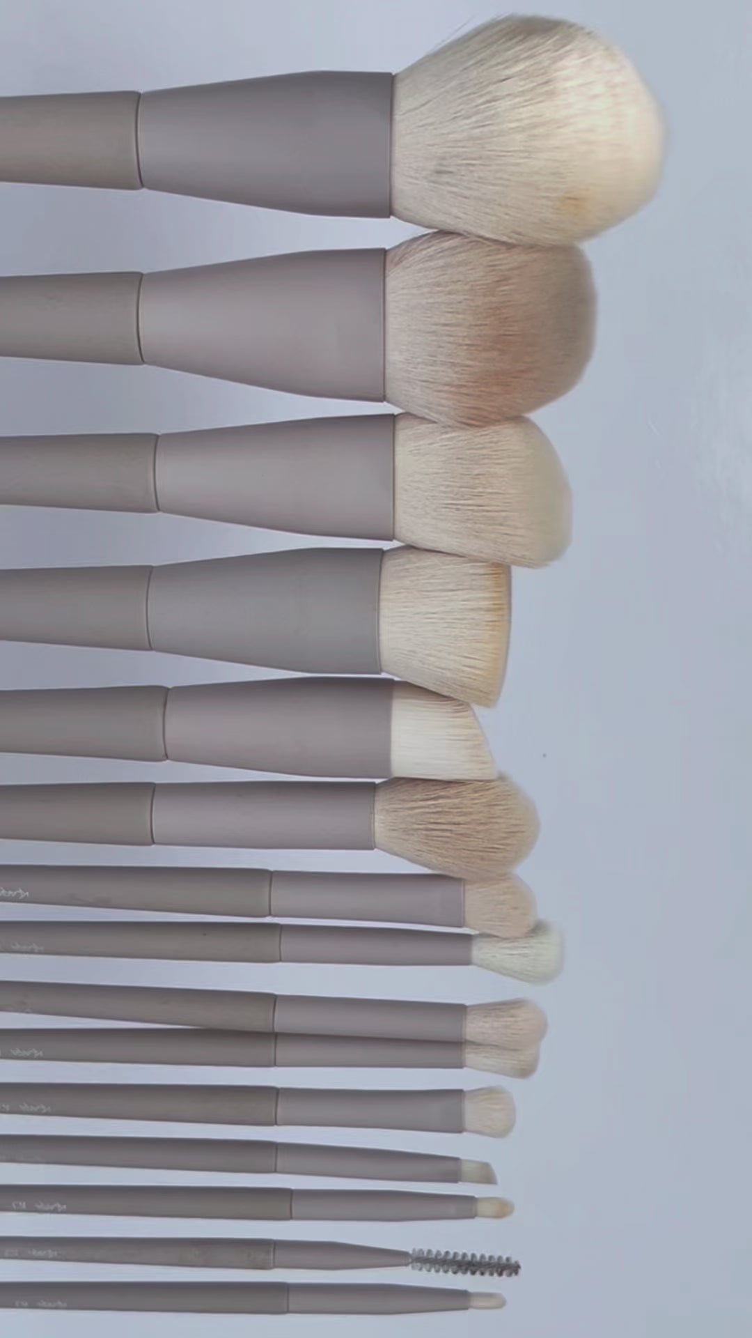 Lux Brush Set