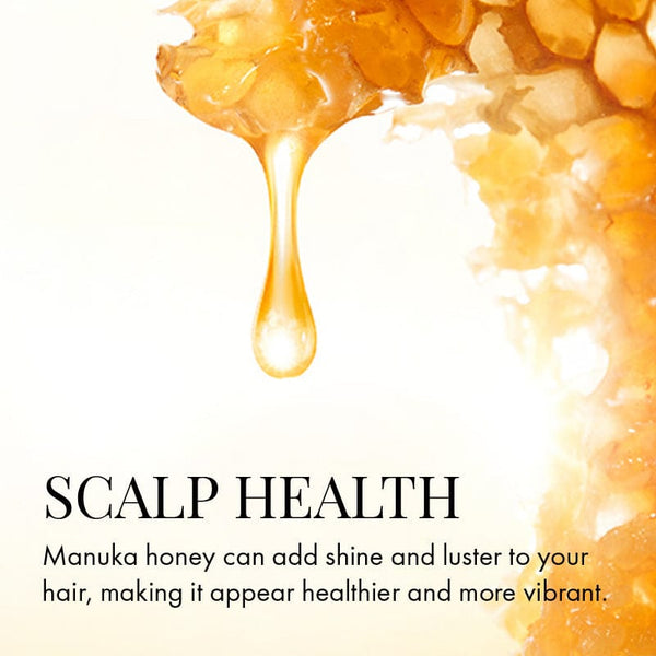 Sechi Honey Color Lock Deep Nourish Set